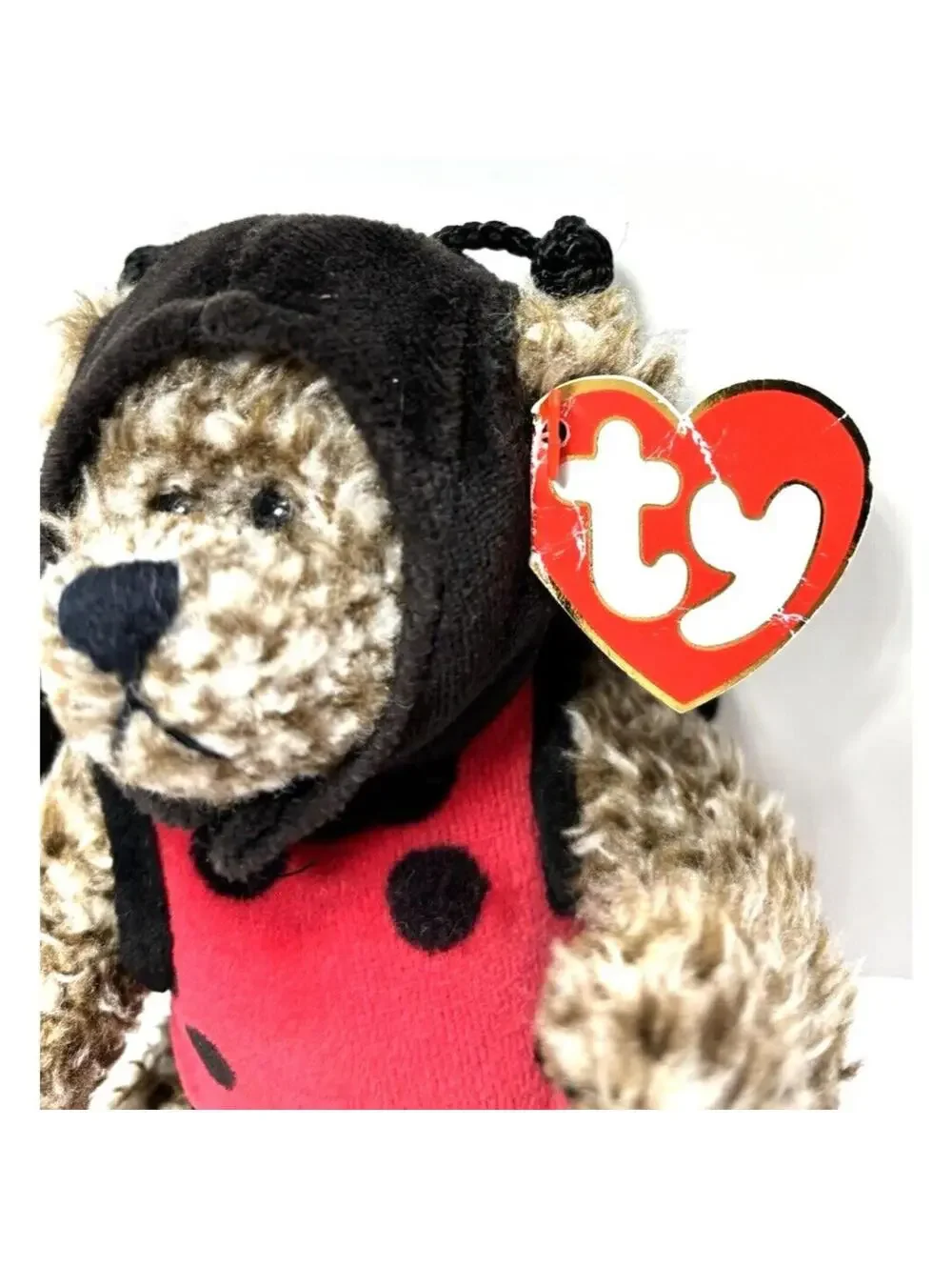 TY Beanie Baby Bugsy  Always A Lady Ladybug Bear 1993 Attic Treasures GUC